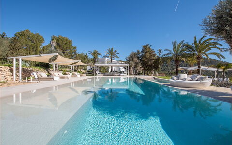 Villa the Marvel: Albero, Piscina, Ricorrere, Eco Hotel, Tropici, Shade, Hotel, Mobili Da Esterno, Resort Citta '