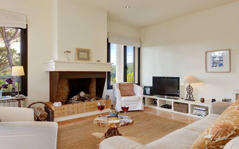 Villa Crab: Mobilia, Interior Design, Parete, Divano, Pavimentazione, Soggiorno, Legna, Pavimento, Soffitto, Camera