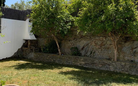 Villa Luisa: Foglia, Woody Impianto, Giardino, Shade, Muro ​​Di Pietra, Backyard, Landscaping