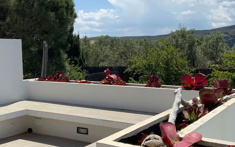 Villa Luisa: Giardino, Calcestruzzo, Shade, Landscaping, Design, Backyard, Pianta Della Casa, Cortile, Vaso Di Fiori