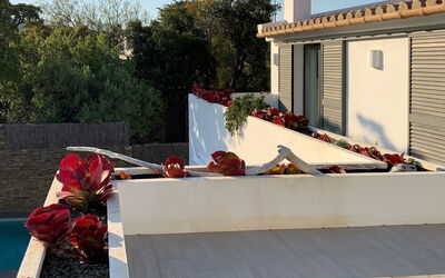 Villa Luisa