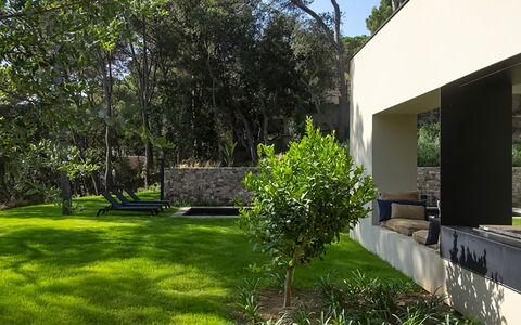 Villa Bamby: Arbusto, Giardino, Shade, Lotto, Groundcover, Landscaping, Backyard, Prato, Calcestruzzo, Cortile