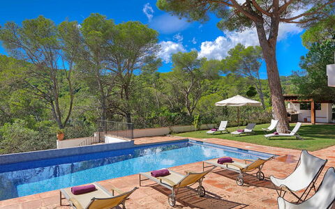 Villa Cassiopea: Piscina, Ricorrere, Mobili Da Esterno, Shade, Giardino, Eco Hotel, Lettino, Landscaping, Villa, Backyard
