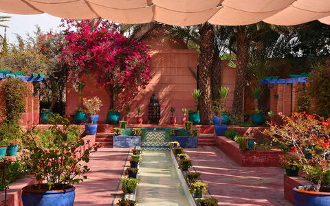 Villa the Garden: Vaso Di Fiori, Arbusto, Giardino, Primavera, Pianta Della Casa, Landscaping, Cortile, Giardino Botanico, Cortile