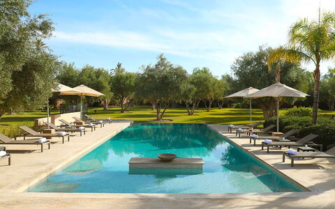 Villa Eleganza: Piscina, Acqua, Ricorrere, Mobili Da Esterno, Reflecting Pool, Riflessione, Terme, Lettino, Giardino, Shade