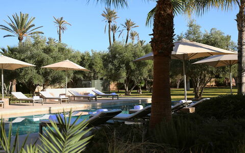 Villa Eleganza: Piscina, Ricorrere, Mobili Da Esterno, Lettino, Shade, Sedia, Landscaping, Eco Hotel, Hotel