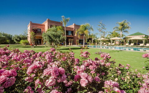Villa Annarosa: Giardino, Estate, Dimora, Landscaping, Ricorrere, Hacienda, Prato, Villa, Eco Hotel