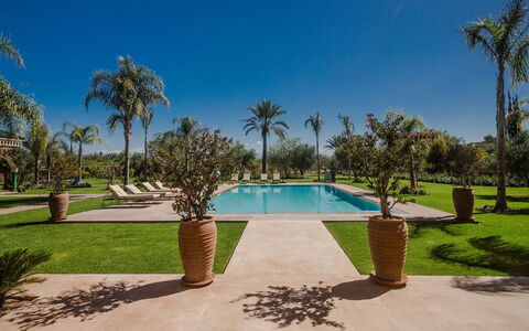 Villa Annarosa: Piscina, Ricorrere, Giardino, Landscaping, Hacienda, Eco Hotel, Estate, Shade, Prato