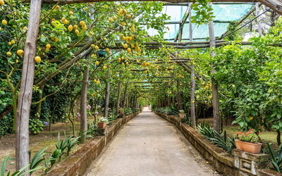 Villa Romantic Garden