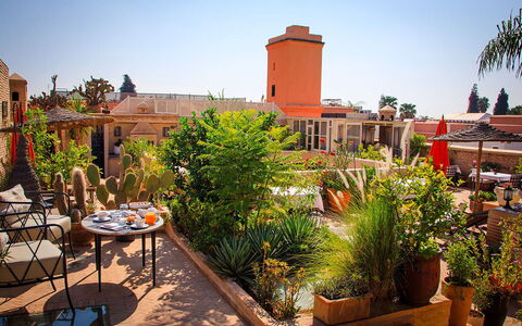 Riad Ikram: Vaso Di Fiori, Pianta Della Casa, Giardino, Sedia, Landscaping, Mobili Da Esterno, Hacienda, Terrazza, Eco Hotel, Cortile