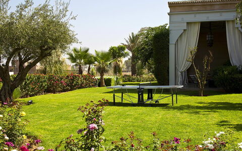 Villa Orange Trees: Albero, Erba, Giardino, Paesaggio, Arbusto, Prato, Lotto, Shade, Cortile