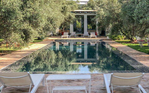 Villa Susan: Piscina, Estate, Giardino, Ricorrere, Riflessione, Shade, Sedia, Mobili Da Esterno, Reflecting Pool, Landscaping