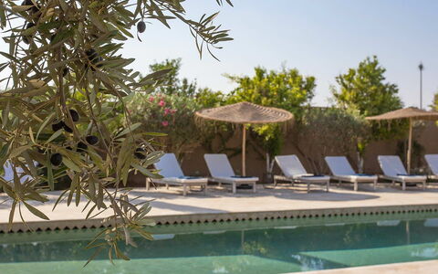 Villa Zagar: Mobili Da Esterno, Mobilia, Piscina, Lettino, Ricorrere, Sedia, Shade, Estate, Landscaping, Ombrello