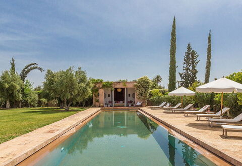 Villa Zagar: Albero, Piscina, Estate, Hacienda, Landscaping, Giardino, Ricorrere, Villa, Piantagione, Eco Hotel