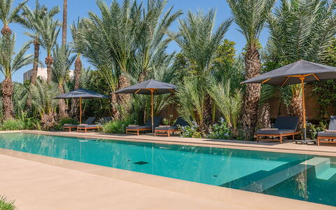 Dar Sun: Piscina, Ricorrere, Eco Hotel, Mobili Da Esterno, Hacienda, Lettino, Hotel, Estate, Villa