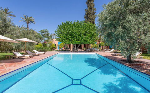 Villa Royale: Piscina, Ricorrere, Mobili Da Esterno, Eco Hotel, Shade, Terme, Hacienda, Lettino, Giardino, Estate