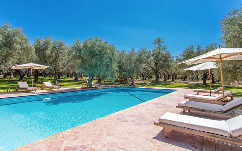Villa Royale: Blu, Piscina, Ricorrere, Shade, Landscaping, Giardino, Eco Hotel, Mobili Da Esterno, Hacienda