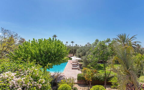 Villa Royale: Arbusto, Ricorrere, Giardino, Piscina, Landscaping, Hacienda, Estate, Eco Hotel, Shade