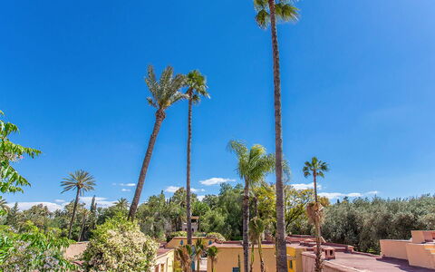 Villa Royale: Blu, Albero, Vegetazione, Woody Impianto, Tropici