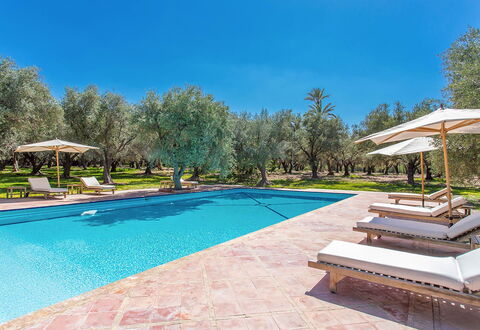 Villa Royale: Blu, Piscina, Ricorrere, Shade, Landscaping, Giardino, Eco Hotel, Mobili Da Esterno, Hacienda
