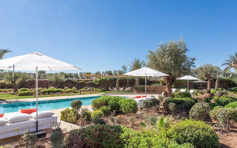 Villa Delizia: Giardino, Ricorrere, Piscina, Landscaping, Hacienda, Shade, Prato, Estate, Eco Hotel