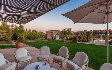 Villa Delizia: Giardino, Paesaggio, Arbusto, Lotto, Plain, Prato, Shade, Landscaping, Estate, Groundcover
