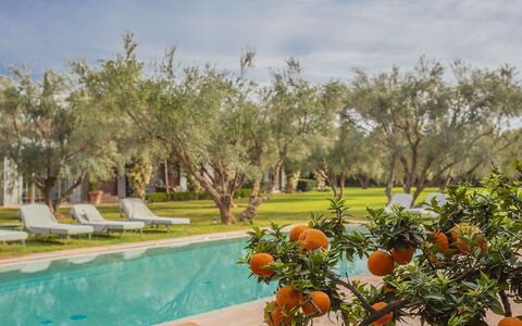 Villa Mauri: Piscina, Giardino, Ricorrere, Prato, Shade, Hacienda, Landscaping, Backyard, Estate, Cortile
