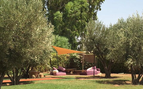 Villa Noria: Giardino, Mobilia, Mobili Da Esterno, Shade, Backyard, Prato, Tronco, Cortile, Sedia, Tavolo Esterno