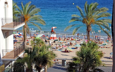 Giner: Acqua, Pianta, Cielo, Azzurro, Albero, Località Balneare, Arecales, Costiera E Morfologie Oceanic, Tempo Libero, Spiaggia