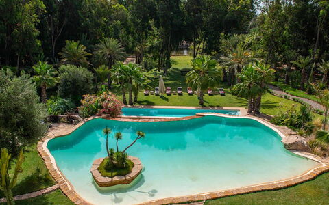 Le Jardin Mogador: Piscina, Acqua, Albero, Ricorrere, Giardino, Tempo Libero, Giochi D'Acqua, Eco Hotel, Landscaping, Hacienda