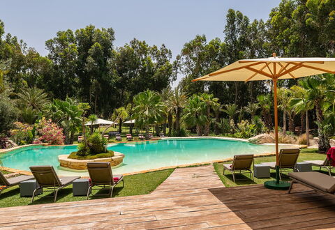 Le Jardin Mogador: Albero, Piscina, Ricorrere, Giardino, Eco Hotel, Landscaping, Shade, Hacienda, Estate