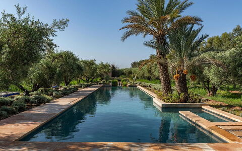 Dar Moon: Acqua, Piscina, Riflessione, Giardino, Ricorrere, Reflecting Pool, Giochi D'Acqua, Hacienda, Landscaping, Estate