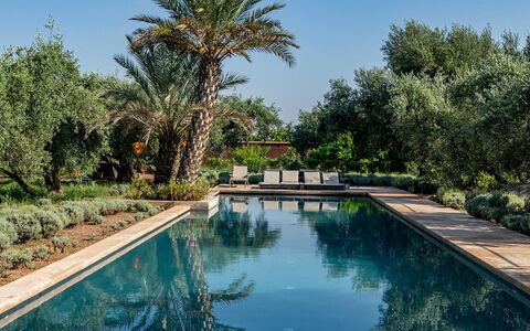 Dar Moon: Piscina, Riflessione, Ricorrere, Giardino, Reflecting Pool, Hacienda, Landscaping, Estate, Giochi D'Acqua
