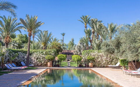 Villa Exotic: Piscina, Ricorrere, Riflessione, Hacienda, Mobili Da Esterno, Giardino, Eco Hotel, Reflecting Pool, Estate