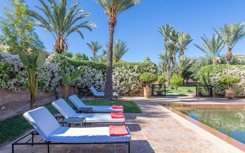 Villa Exotic: Piscina, Ricorrere, Mobili Da Esterno, Giardino, Landscaping, Eco Hotel, Hacienda, Shade, Lettino