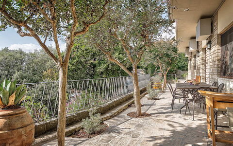 Cortona Deluxe: Shade, Mobili Da Esterno, Flagstone, Vaso Di Fiori, Sedia, Pianta Della Casa, Portico, Recinzione, Balcone, Backyard