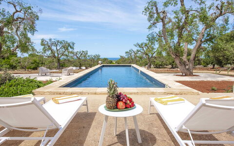 Villa Il Guaceto: Mobilia, Piscina, Mobili Da Esterno, Ricorrere, Sedia, Shade, Lettino, Villa, Hotel