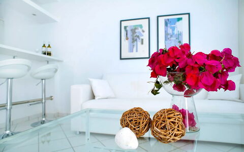 Apartment Rose 1: Mobilia, Interior Design, Divano, Tavolo, Soggiorno, Casa, Illuminazione, Pavimento, Pavimentazione, Camera