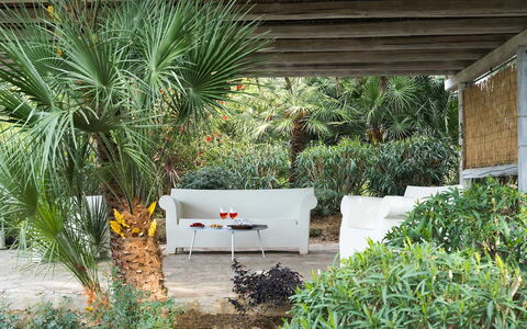 Villa Milo: Vegetazione, Arbusto, Giardino, Comunita 'Impianto, Mobili Da Esterno, Shade, Landscaping, Backyard, Eco Hotel