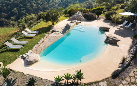 Villa Milo: Blu, Acqua, Piscina, Ricorrere, Tempo Libero, Mobili Da Esterno, Vacanza, Tropici, Eco Hotel, Ombrello