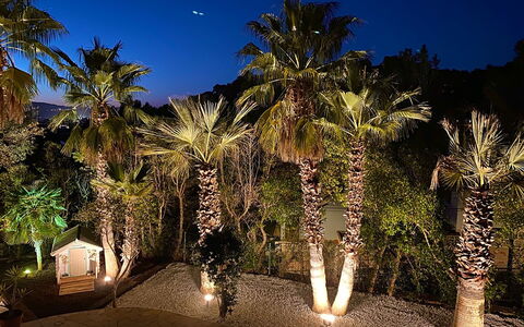 Villa Joel: Notte, Giardino, Paesaggio Di Illuminazione, Woody Impianto, Landscaping