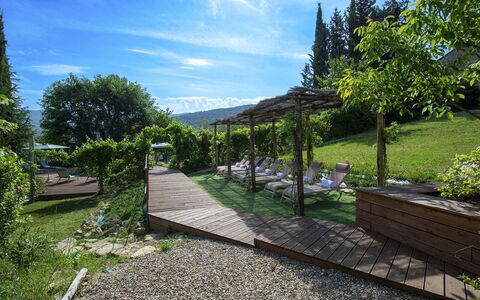 Villa Grevigiana: Arbusto, Paesaggio, Giardino, Comunita 'Impianto, Lotto, Shade, Groundcover, Mobili Da Esterno, Landscaping, Struttura Esterna