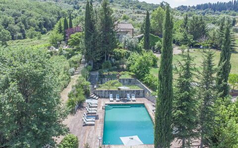Villa Grevigiana: Albero, Vegetazione, Arbusto, Paesaggio, Comunita 'Impianto, Giardino, Landscaping, Piscina, Sempreverde