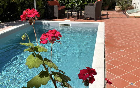 Villa Ava: Vaso Di Fiori, Piscina, Giardino, Shade, Pianta Della Casa, Landscaping, Backyard, Cortile, Giochi D'Acqua