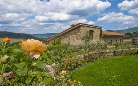 Villa del Fattore: Collina, Paesaggio, Nube, Arbusto, Area Rurale, Villetta, Agriturismo, Giardino, Prato