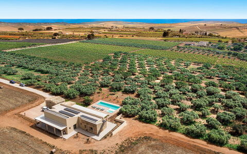 Villa Clemente: Paesaggio, Plain, Lotto, Fotografia Aerea, Visione Globale, Piantagione, Campo, Estate, Agricoltura, Azienda Agricola