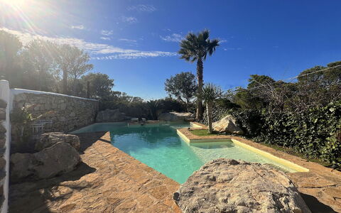 Sa Galera Villa: Blu, Piscina, Roccia, Ricorrere, Giochi D'Acqua, Eco Hotel, Landscaping, Tropici