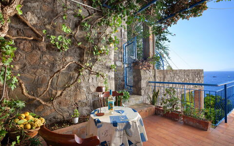 Sea Scent: Blu, Vaso Di Fiori, Pianta Della Casa, Balcone, Disegno Floreale, Fiorai