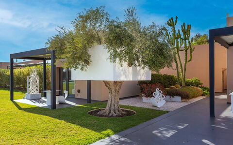 Villa Malika: Arbusto, Giardino, Shade, Landscaping, Woody Impianto, Cortile, Backyard, Eco Hotel, Prato