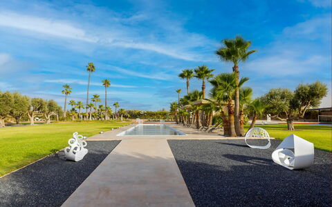 Villa Malika: Albero, Woody Impianto, Landscaping, Passerella, Tropici, Parco